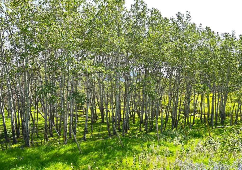 MLS® A2247365 - 2513 3 Highway  in NONE Rural Pincher Creek No. 9, M.D. of, Residential