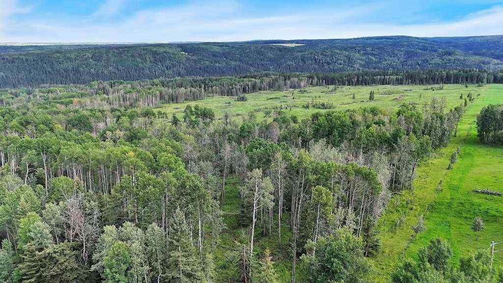 MLS® A2247475 - 29578 Rge Rd 54   in NONE Rural Mountain View County, Land