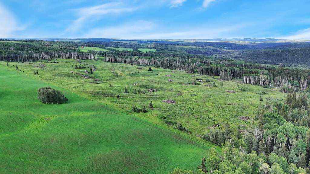 MLS® A2247475 - 29578 Rge Rd 54   in NONE Rural Mountain View County, Land