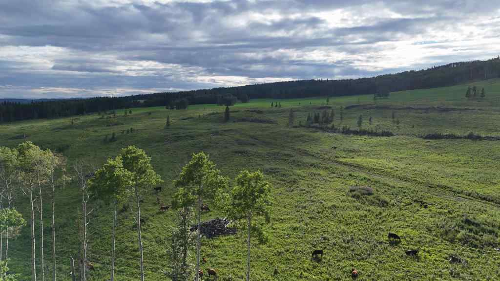 MLS® A2247475 - 29578 Rge Rd 54   in NONE Rural Mountain View County, Land