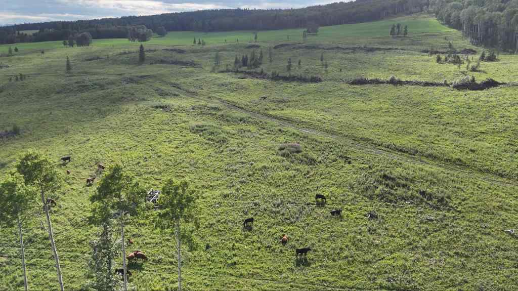 MLS® A2247475 - 29578 Rge Rd 54   in NONE Rural Mountain View County, Land