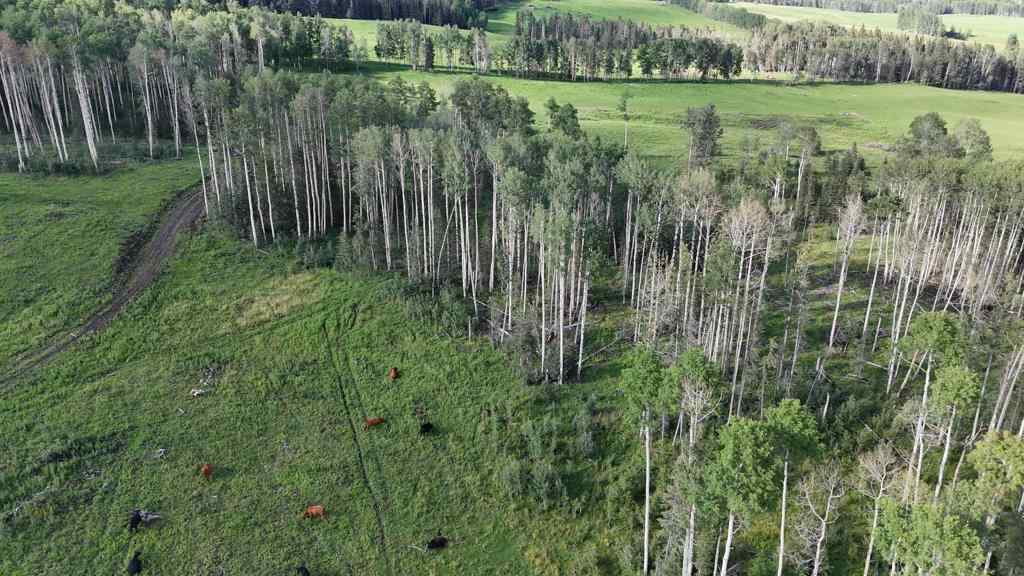 MLS® A2247475 - 29578 Rge Rd 54   in NONE Rural Mountain View County, Land
