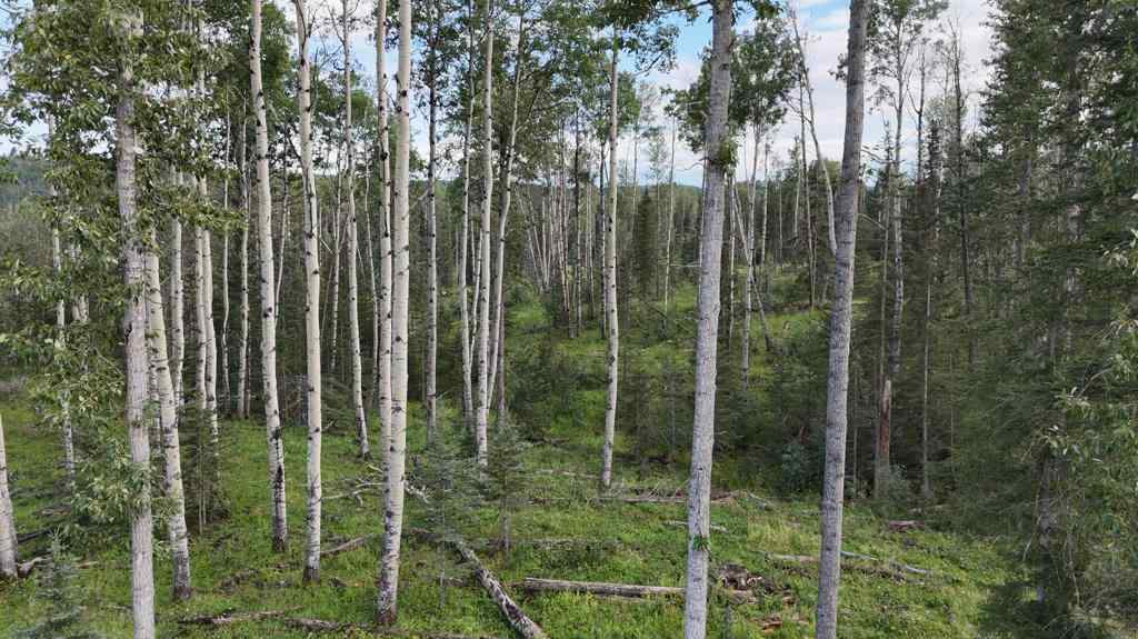 MLS® A2247475 - 29578 Rge Rd 54   in NONE Rural Mountain View County, Land