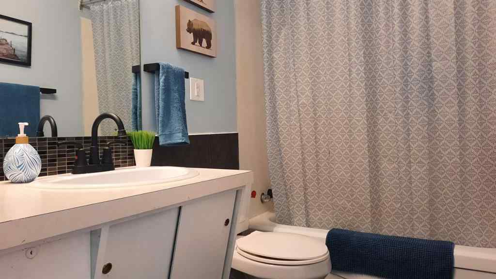 MLS® A2247521 - 1005 2 Street SE in Huntington Drumheller, Residential