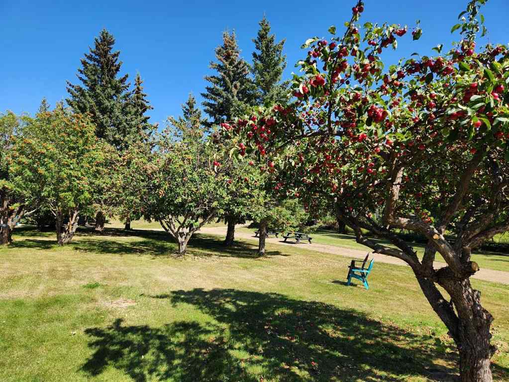 MLS® A2247537 - 5430 51A Street  in NONE Bashaw, Commercial