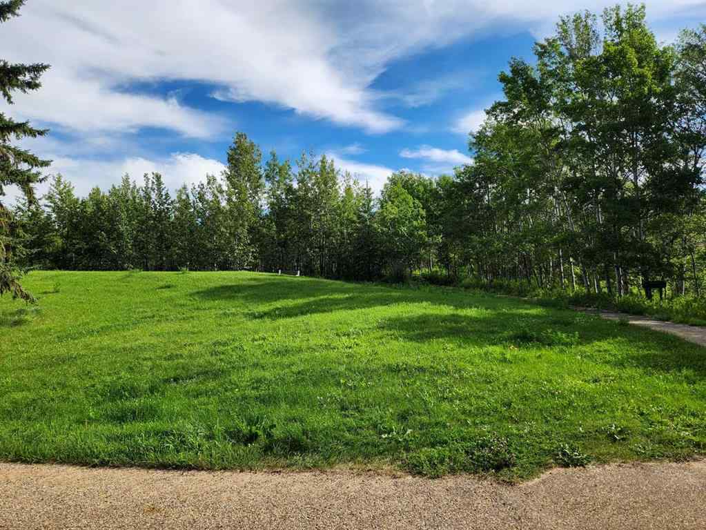 MLS® A2247537 - 5430 51A Street  in NONE Bashaw, Commercial