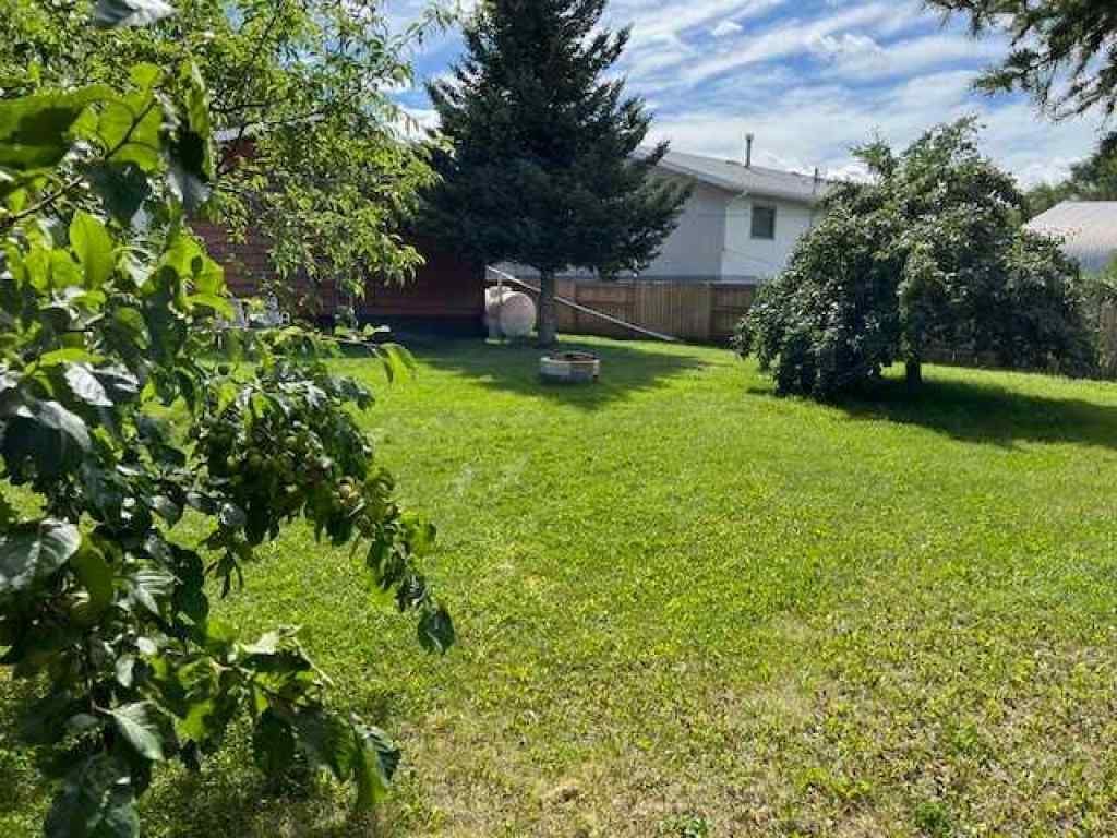 MLS® A2247630 - 118 Alberta Avenue  in NONE Halkirk, Residential