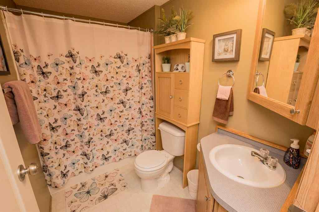 MLS® A2247640 - 423 Silver Point Drive  in MH - Silver Pointe Rural Grande Prairie No. 1, County of, Residential