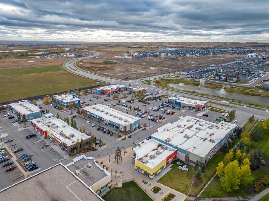 MLS® A2247659 - 220 Silverado Plains Park SW in Silverado Calgary, Residential