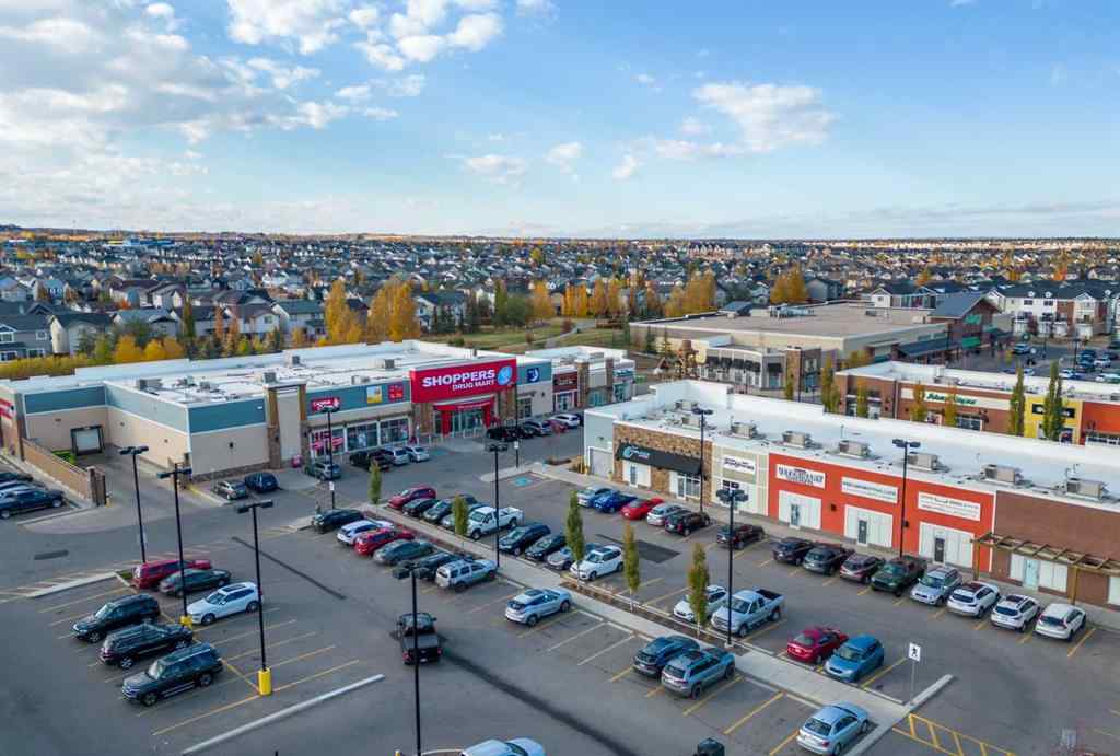 MLS® A2247659 - 220 Silverado Plains Park SW in Silverado Calgary, Residential