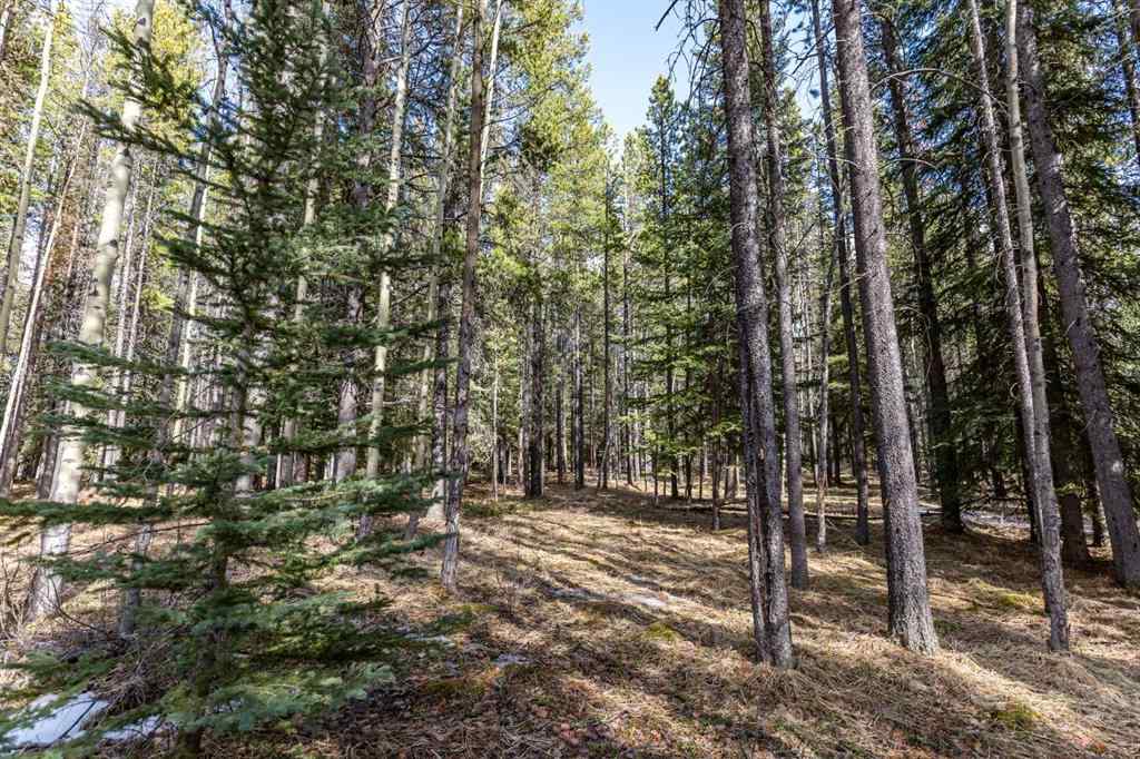 MLS® A2247679 - Unit #7 1 Mount Kidd Drive  in NONE Rural Kananaskis ID, Mobile