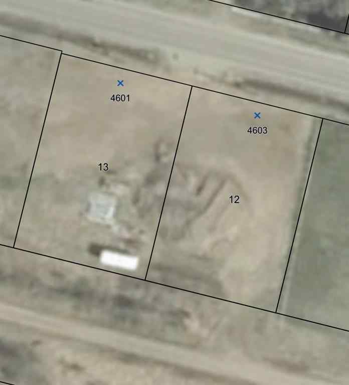 MLS® A2247710 - 4601-4603 49 Avenue  in Dewberry Dewberry, Land