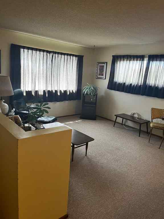 MLS® A2247726 - 301 1 Avenue S in NONE Coutts, Multi-Family
