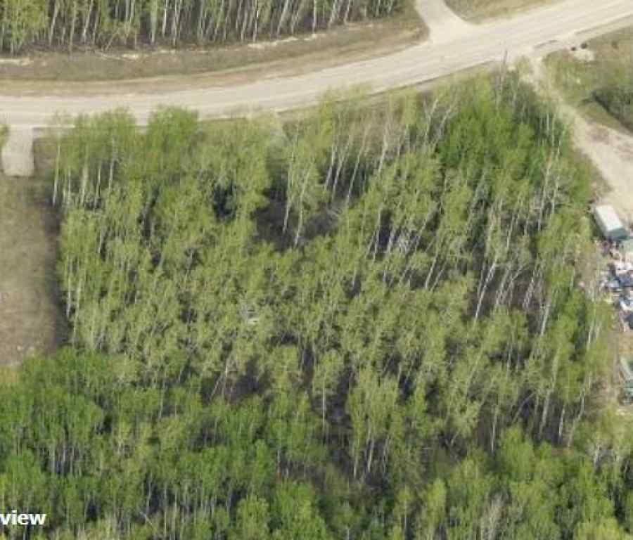 MLS® A2247731 - 151 Poplar Drive   in Conklin Conklin, Land