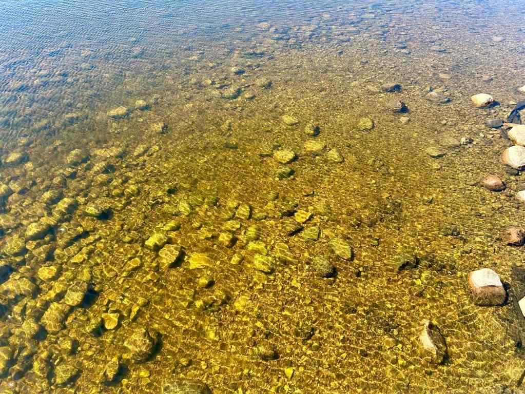 MLS® A2247731 - 151 Poplar Drive   in Conklin Conklin, Land