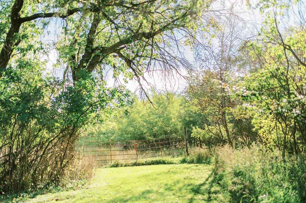 MLS® A2247746 - 4406 47 Avenue  in East Industrial Park Stettler, Land