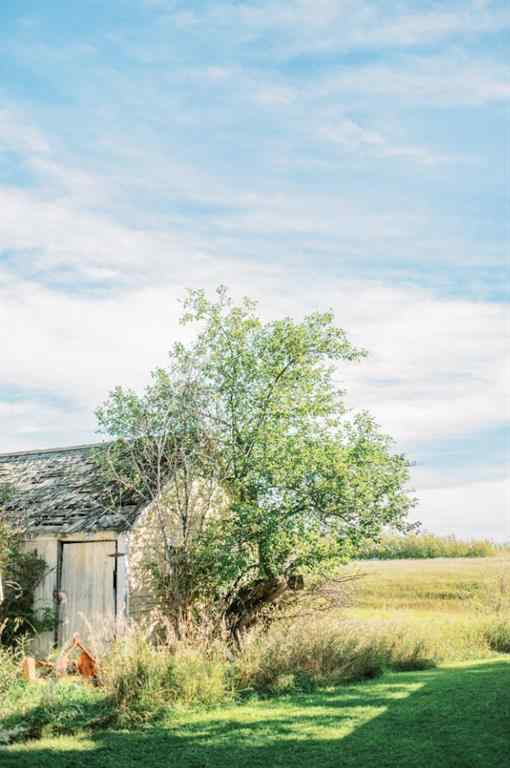 MLS® A2247746 - 4406 47 Avenue  in East Industrial Park Stettler, Land