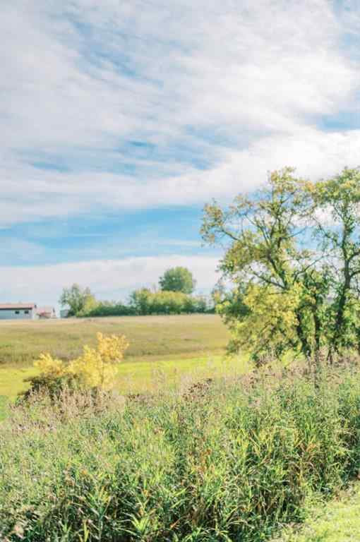 MLS® A2247746 - 4406 47 Avenue  in East Industrial Park Stettler, Land