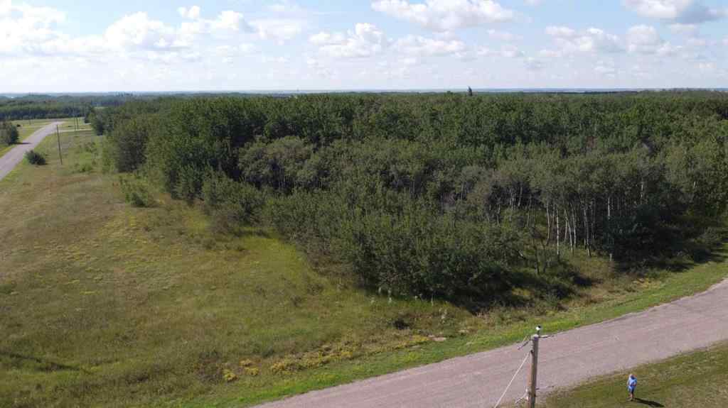 MLS® A2247813 - 1 - 65017 Twp Rd 442B   in NONE Rural Wainwright No. 61, M.D. of, Land