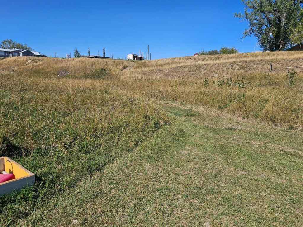 MLS® A2247837 - Unit #5 172039 Hwy 539   in NONE Bow City, Land