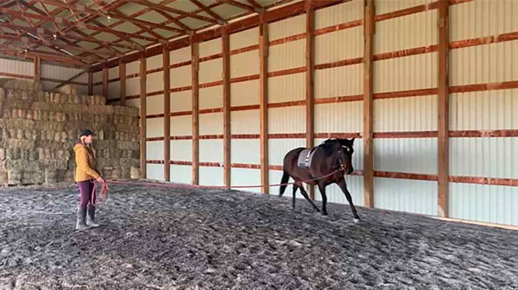MLS® A2247923 - 165016 Rge Rd 285 Road  in NONE Rural Willow Creek No. 26, M.D. of, Residential