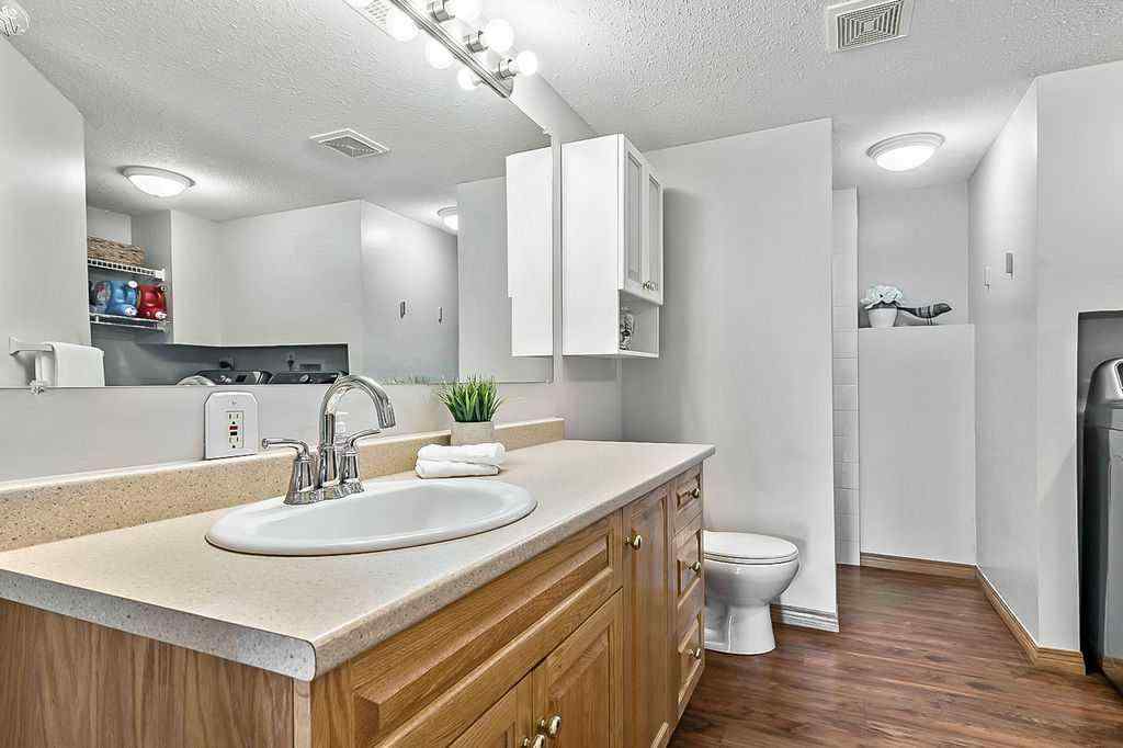 MLS® A2247957 - 316 Lineham Acres Drive NW in Lineham Acres High River, Residential