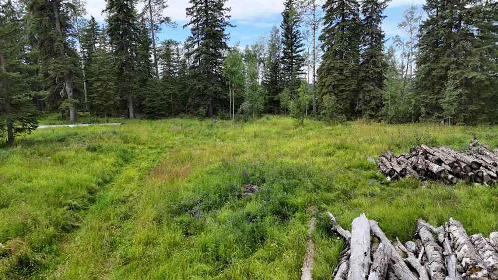 MLS® A2247972 - Unit #10 16511 Township Road 532A   in NONE Rural Yellowhead County, Land