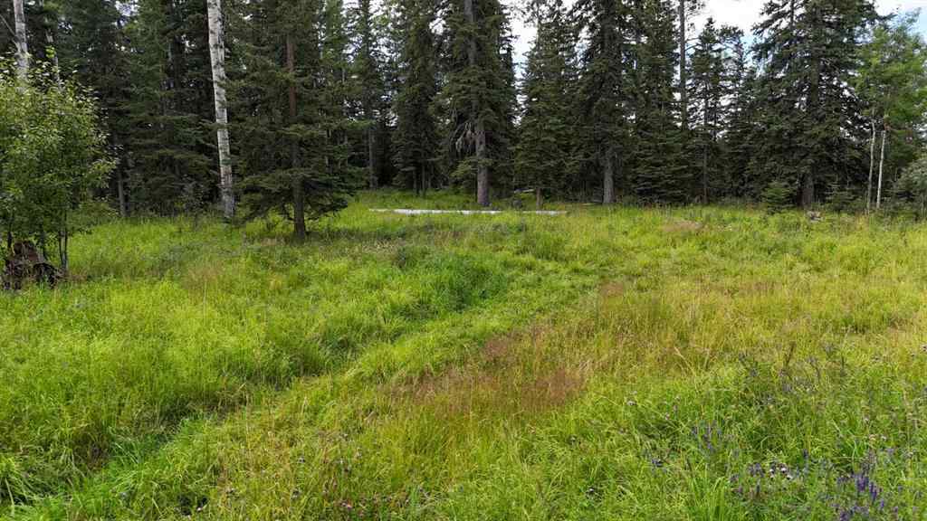 MLS® A2247972 - Unit #10 16511 Township Road 532A   in NONE Rural Yellowhead County, Land