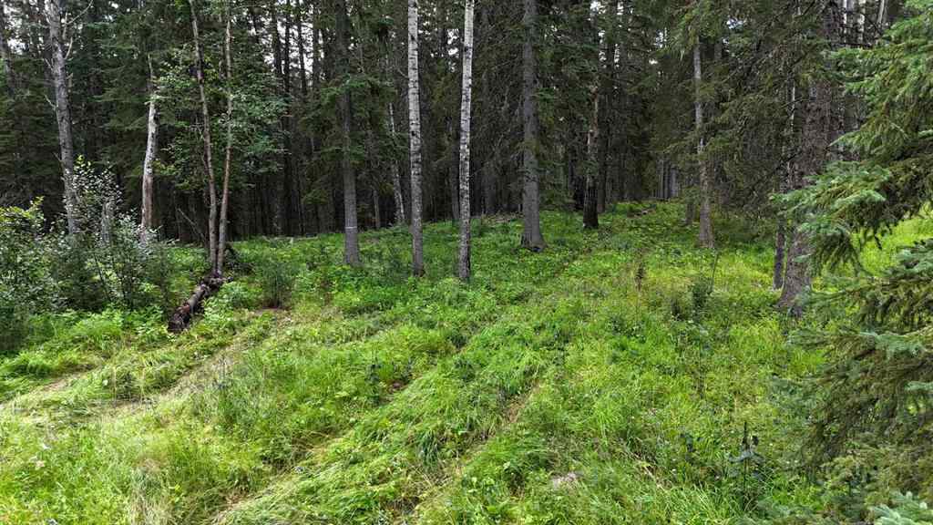 MLS® A2247972 - Unit #10 16511 Township Road 532A   in NONE Rural Yellowhead County, Land