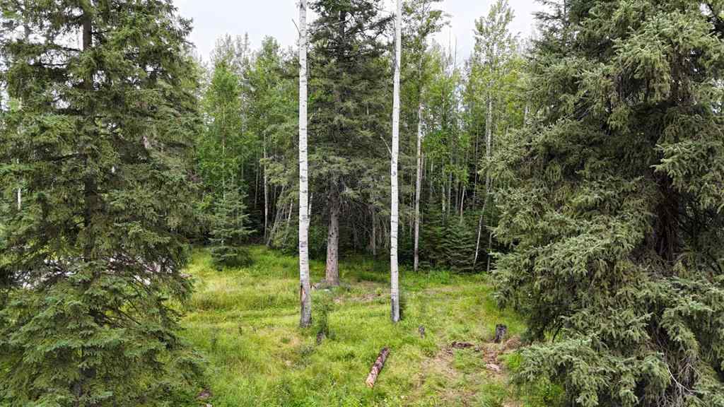 MLS® A2247972 - Unit #10 16511 Township Road 532A   in NONE Rural Yellowhead County, Land