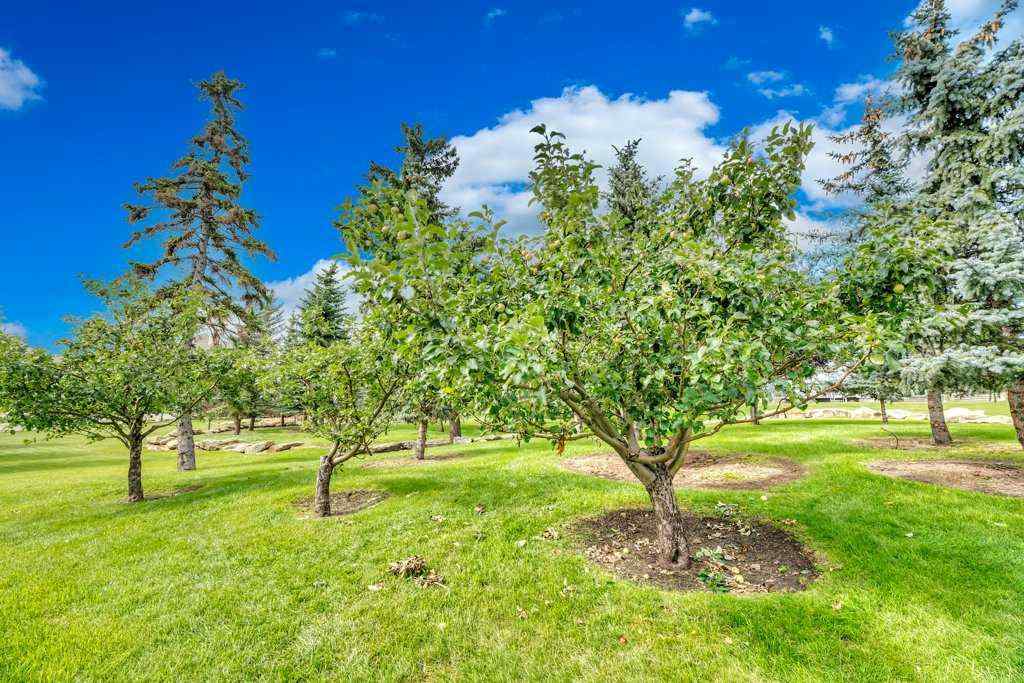 MLS® A2248074 - Unit #1313 1000 Somervale Court SW in Somerset Calgary, Residential