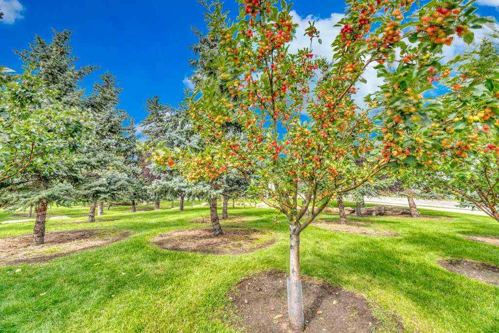 MLS® A2248074 - Unit #1313 1000 Somervale Court SW in Somerset Calgary, Residential