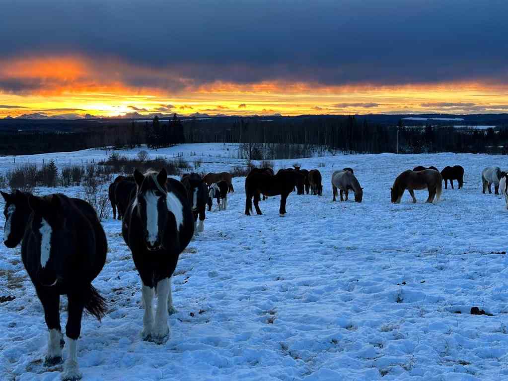 MLS® A2248109 - 5241 Township Road 320   in NONE Rural Mountain View County, Residential