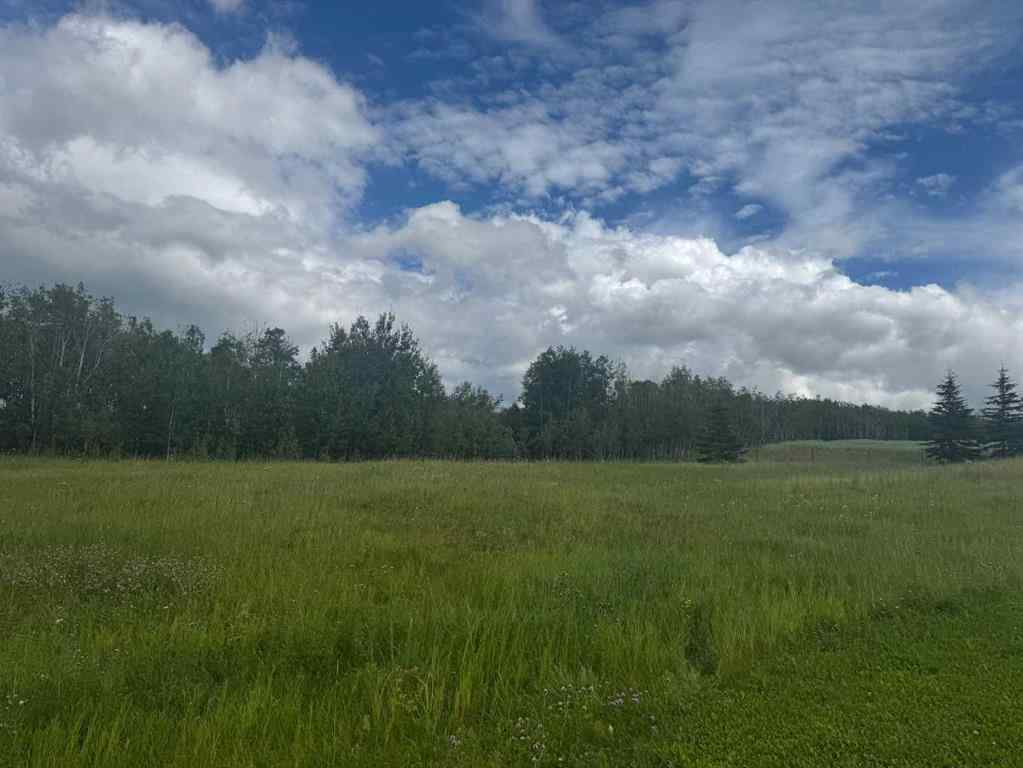 MLS® A2248217 - Unit #2 284029 Township Road 422   in Heartland Country Estates Rural Ponoka County, Land