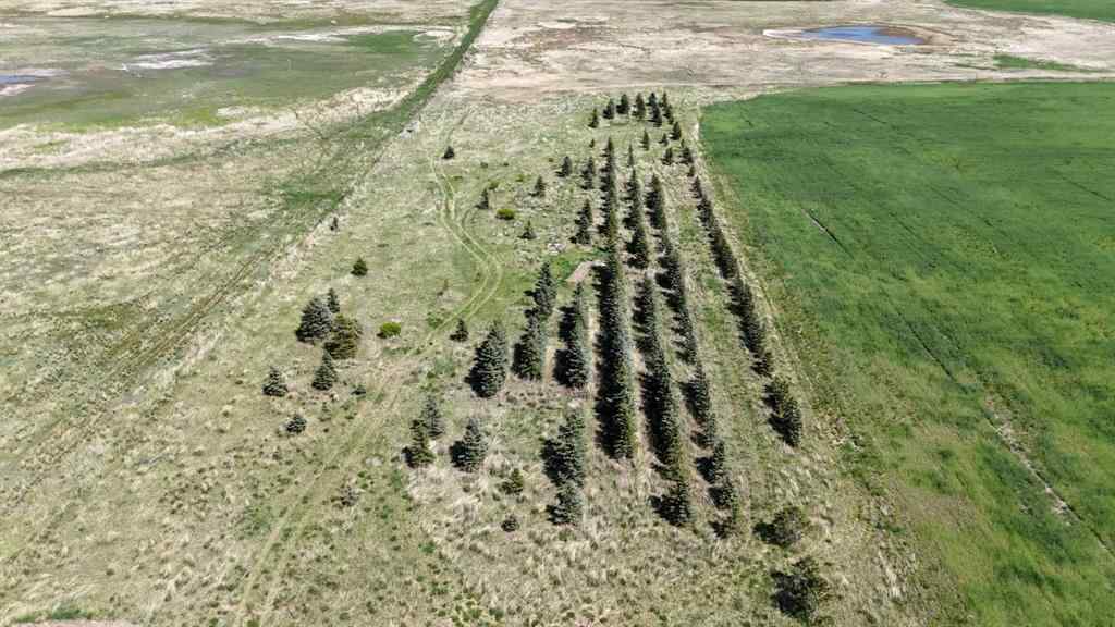 MLS® A2248231 - Range Road 243   in NONE Rural Vulcan County, Land