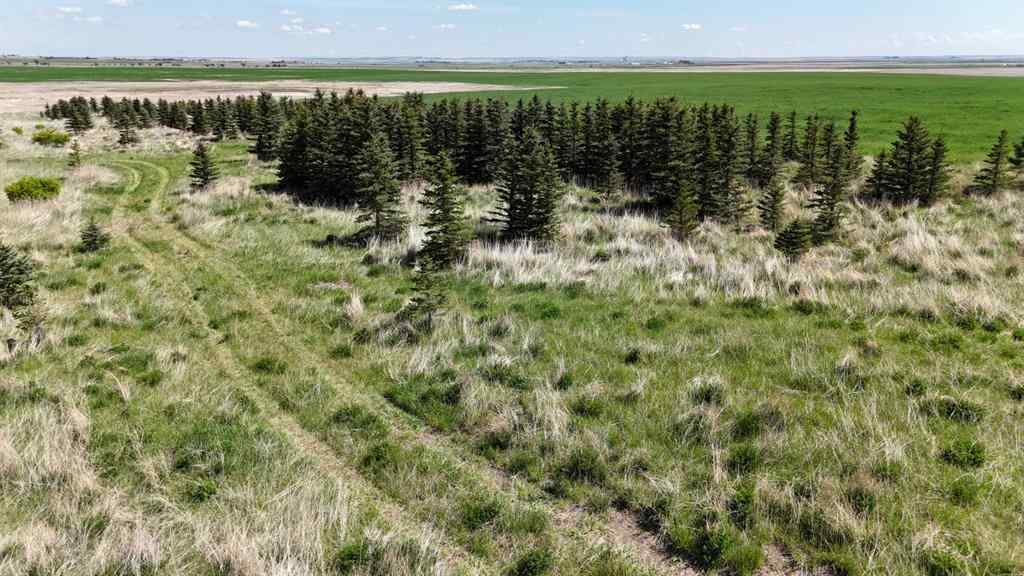 MLS® A2248231 - Range Road 243   in NONE Rural Vulcan County, Land