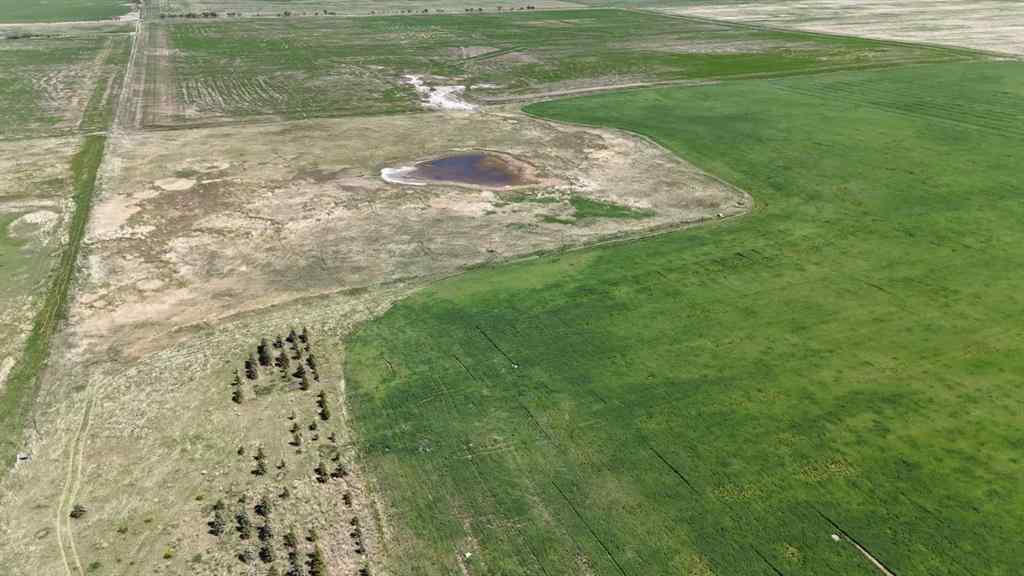 MLS® A2248231 - Range Road 243   in NONE Rural Vulcan County, Land