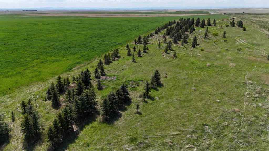 MLS® A2248231 - Range Road 243   in NONE Rural Vulcan County, Land
