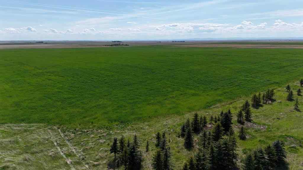 MLS® A2248231 - Range Road 243   in NONE Rural Vulcan County, Land