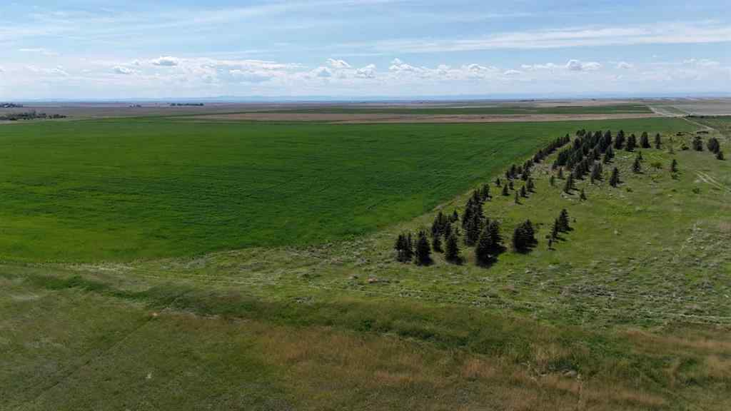 MLS® A2248231 - Range Road 243   in NONE Rural Vulcan County, Land