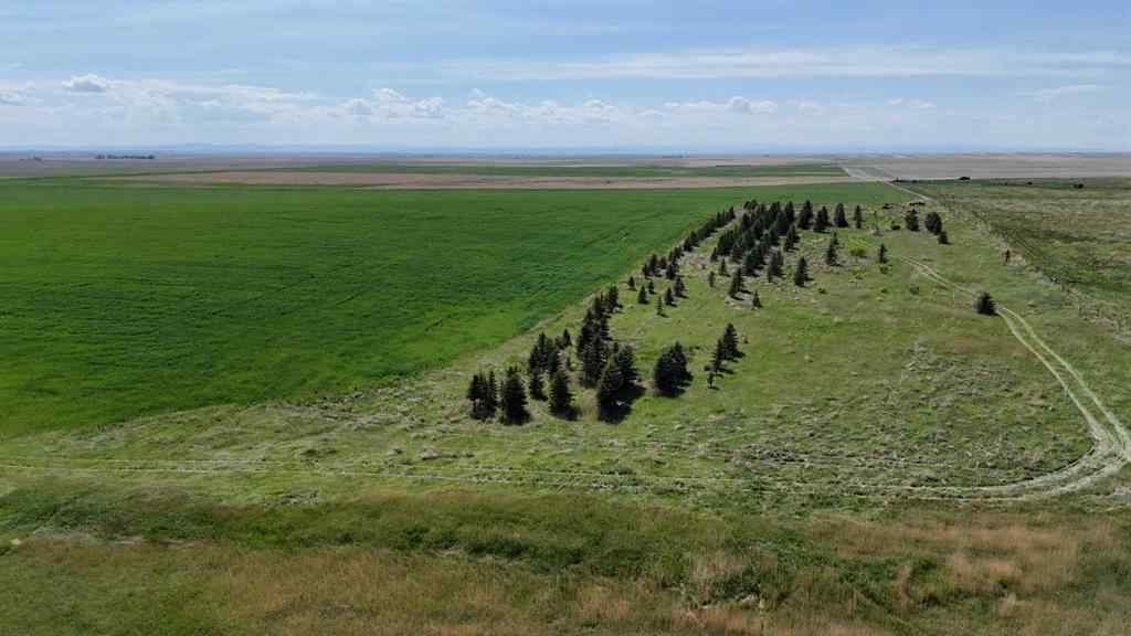 MLS® A2248231 - Range Road 243   in NONE Rural Vulcan County, Land