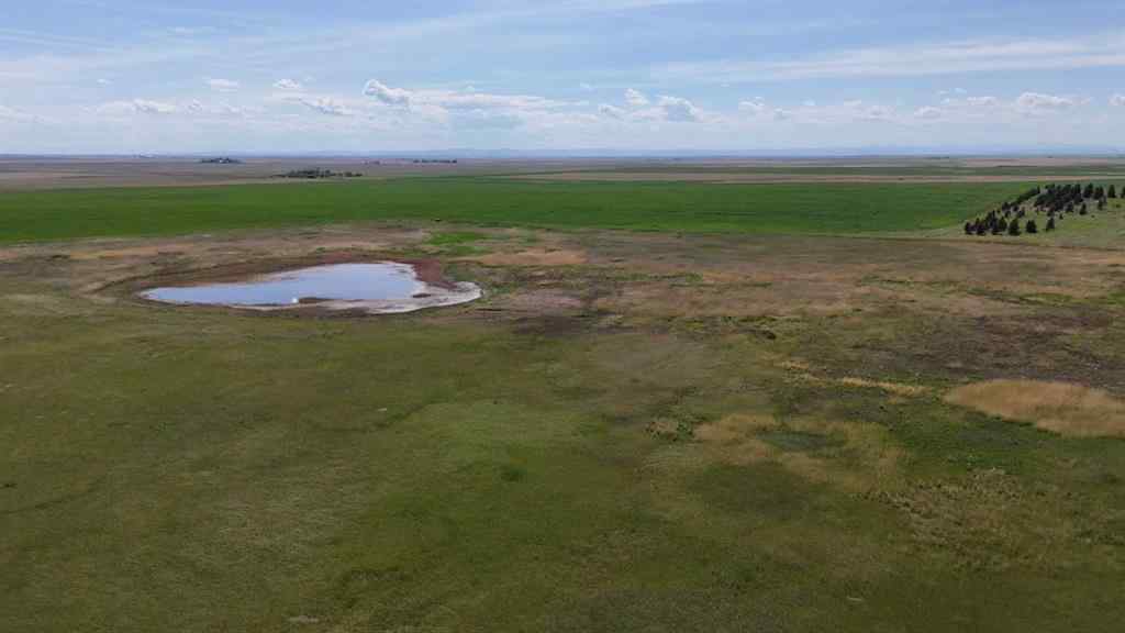 MLS® A2248231 - Range Road 243   in NONE Rural Vulcan County, Land