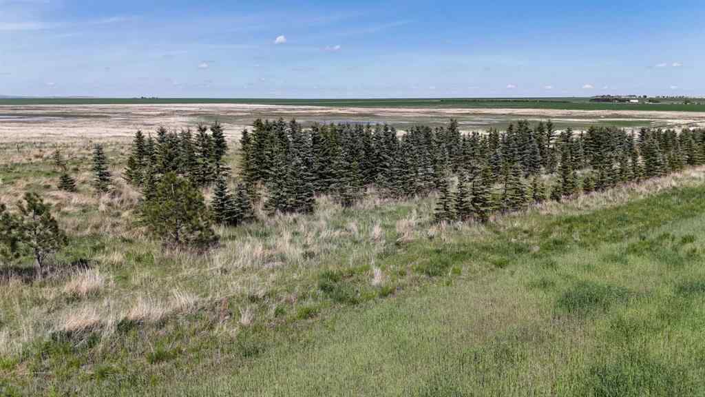 MLS® A2248231 - Range Road 243   in NONE Rural Vulcan County, Land