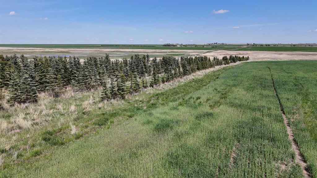 MLS® A2248231 - Range Road 243   in NONE Rural Vulcan County, Land