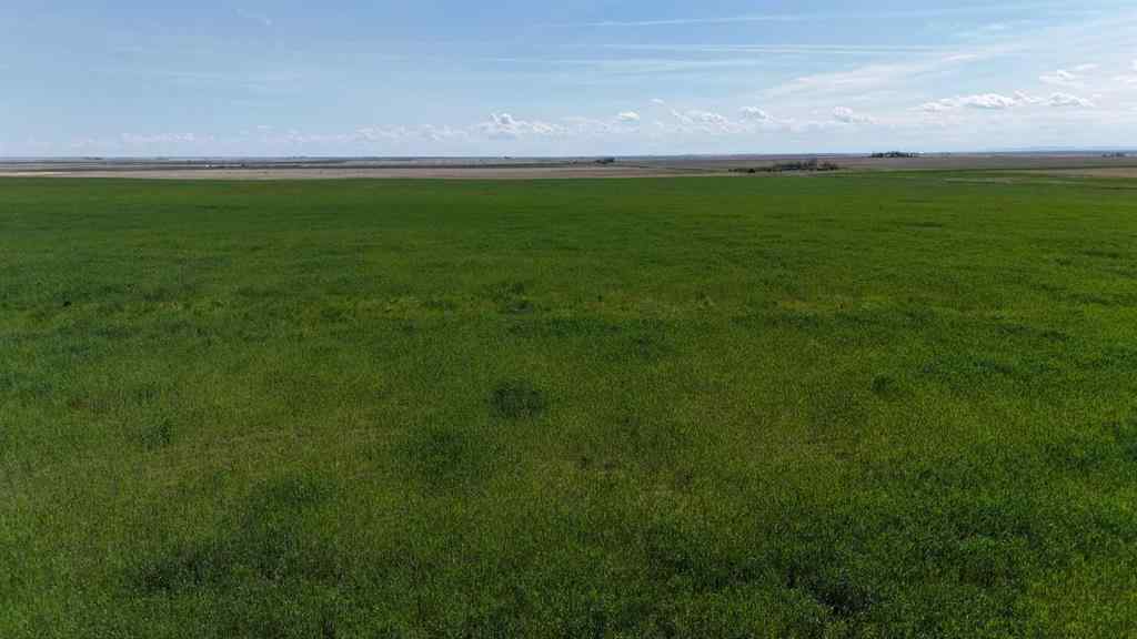 MLS® A2248231 - Range Road 243   in NONE Rural Vulcan County, Land