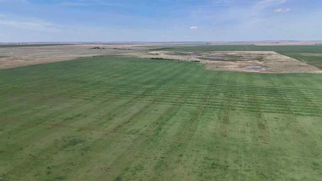 MLS® A2248231 - Range Road 243   in NONE Rural Vulcan County, Land
