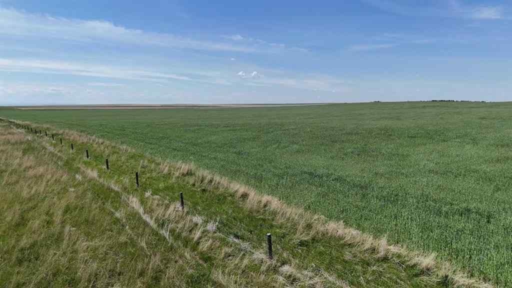 MLS® A2248231 - Range Road 243   in NONE Rural Vulcan County, Land