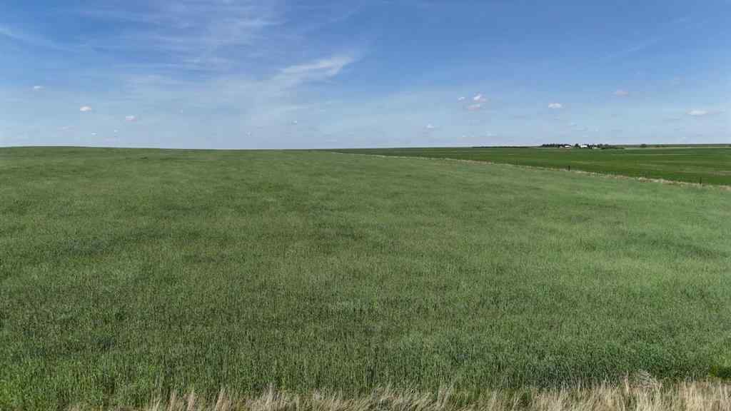 MLS® A2248231 - Range Road 243   in NONE Rural Vulcan County, Land