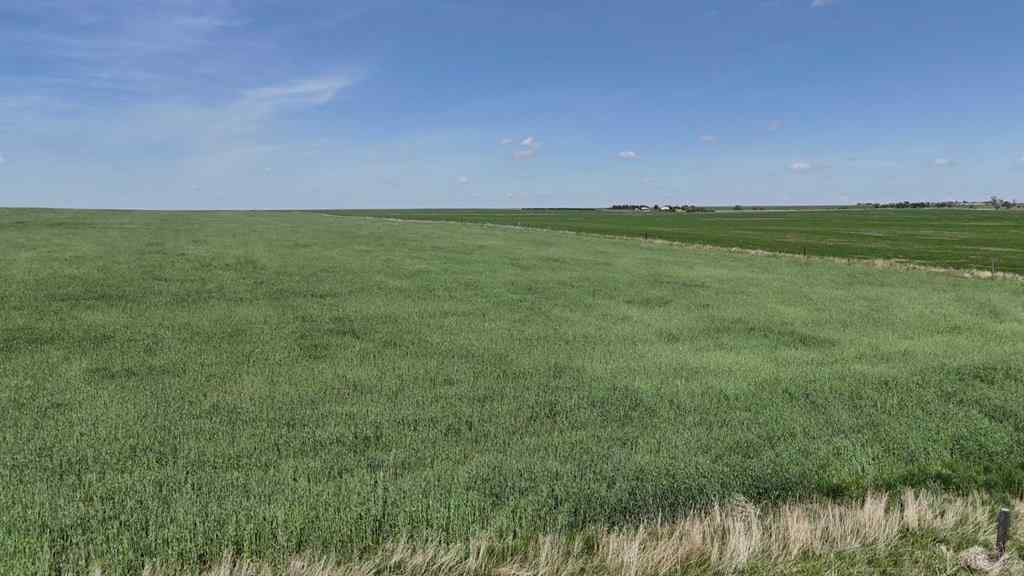 MLS® A2248231 - Range Road 243   in NONE Rural Vulcan County, Land