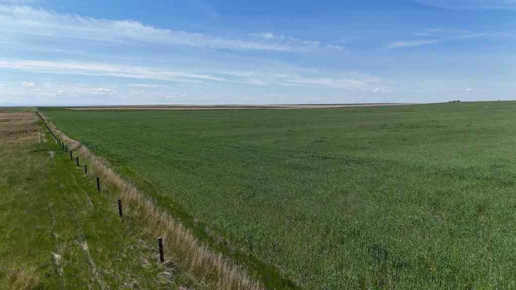MLS® A2248231 - Range Road 243   in NONE Rural Vulcan County, Land